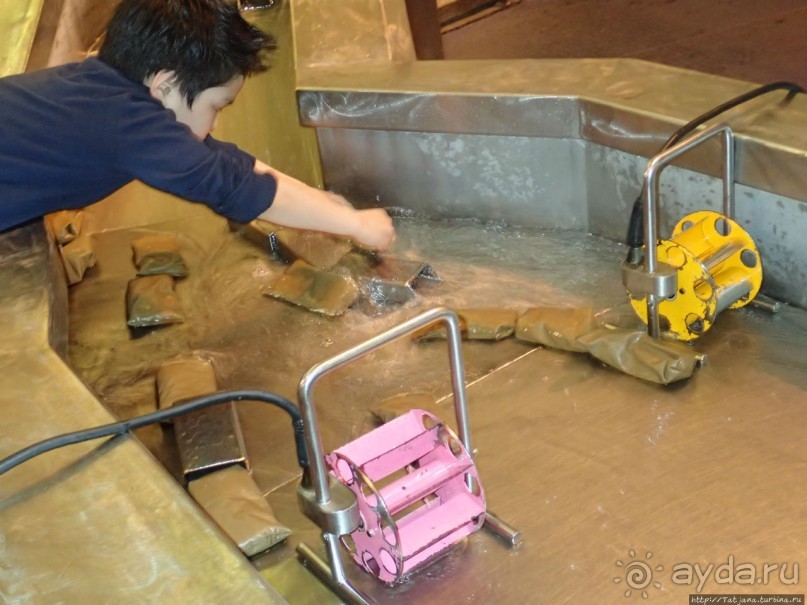 Веселенький и активно-познавательный музей Nemo