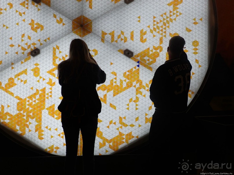 Веселенький и активно-познавательный музей Nemo