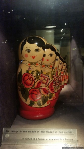 Веселенький и активно-познавательный музей Nemo