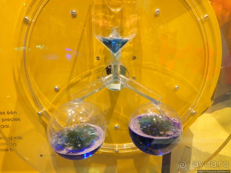 Веселенький и активно-познавательный музей Nemo