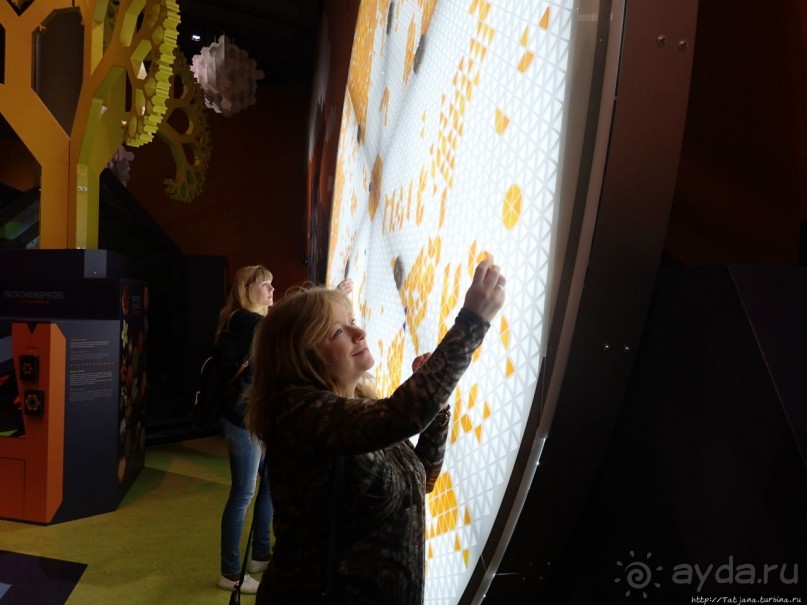 Веселенький и активно-познавательный музей Nemo