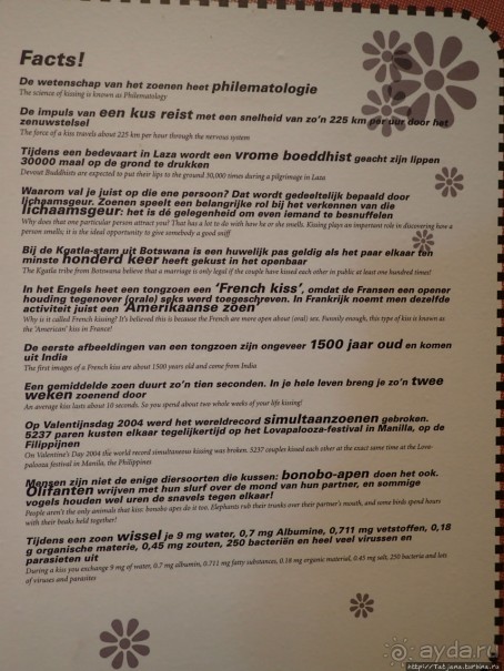 Веселенький и активно-познавательный музей Nemo