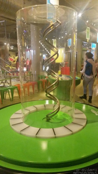 Веселенький и активно-познавательный музей Nemo