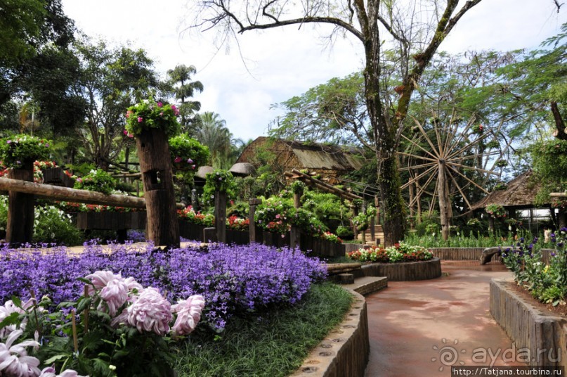 Национальный парк-сад цветов " Mae Fah Luang Garden "