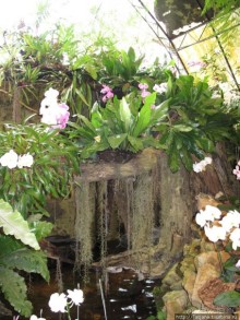 Национальный парк-сад цветов " Mae Fah Luang Garden "
