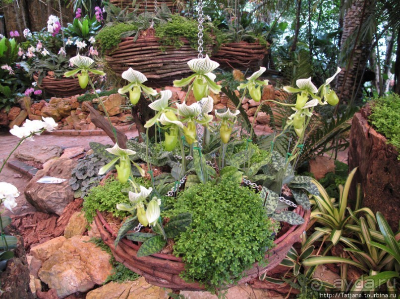 Национальный парк-сад цветов " Mae Fah Luang Garden "