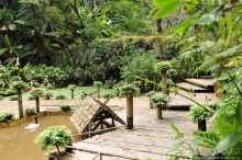Национальный парк-сад цветов " Mae Fah Luang Garden "