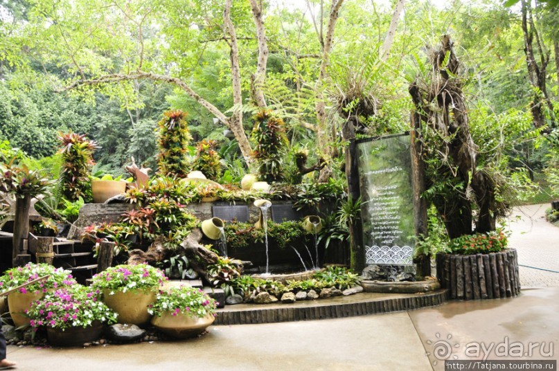 Национальный парк-сад цветов " Mae Fah Luang Garden "