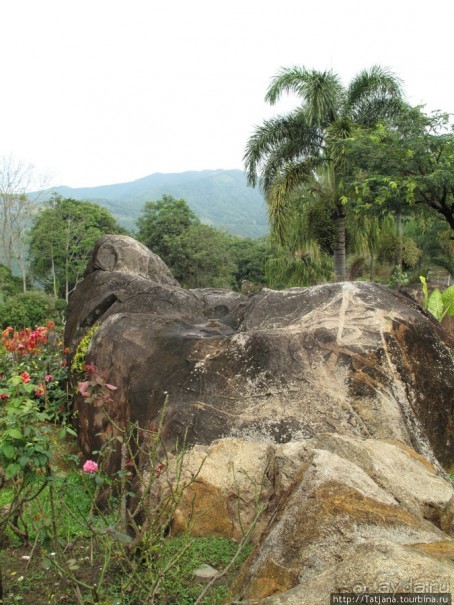 Национальный парк-сад цветов " Mae Fah Luang Garden "