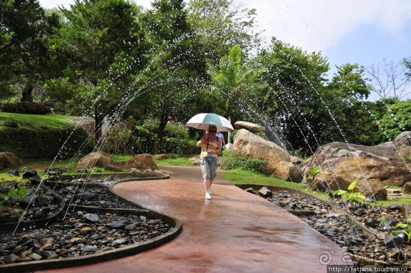 Национальный парк-сад цветов " Mae Fah Luang Garden "