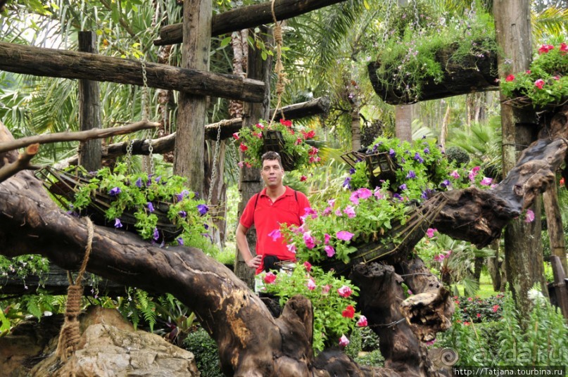 Национальный парк-сад цветов " Mae Fah Luang Garden "