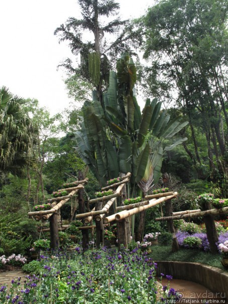 Национальный парк-сад цветов " Mae Fah Luang Garden "