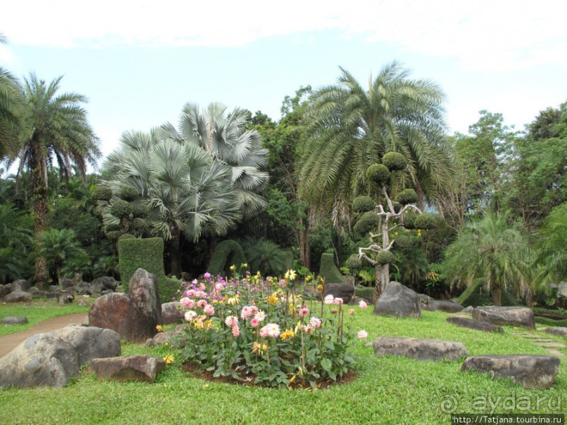 Национальный парк-сад цветов " Mae Fah Luang Garden "