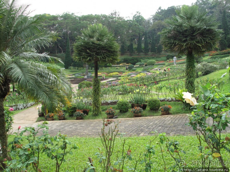Национальный парк-сад цветов " Mae Fah Luang Garden "