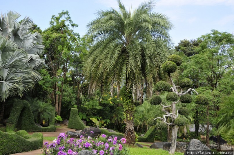 Национальный парк-сад цветов " Mae Fah Luang Garden "
