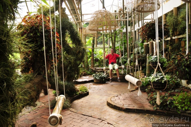 Национальный парк-сад цветов " Mae Fah Luang Garden "