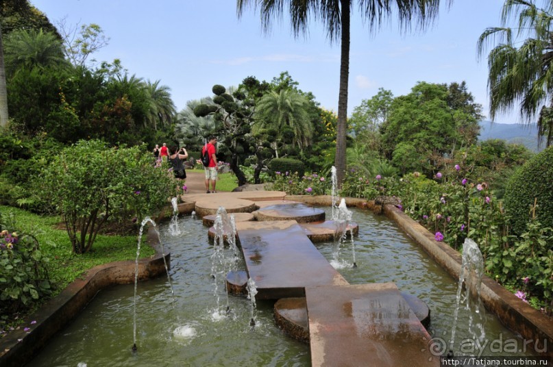 Национальный парк-сад цветов " Mae Fah Luang Garden "
