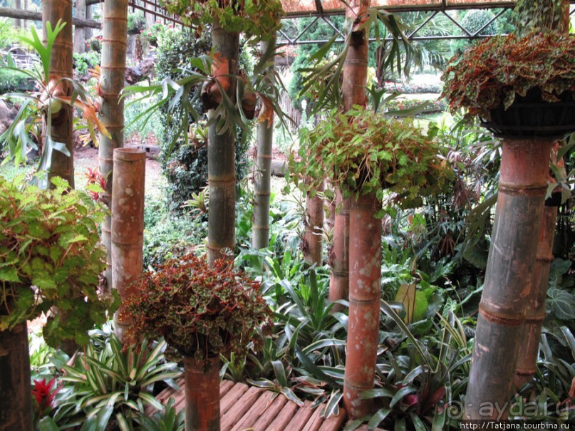 Национальный парк-сад цветов " Mae Fah Luang Garden "