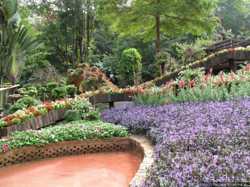 Национальный парк-сад цветов " Mae Fah Luang Garden "