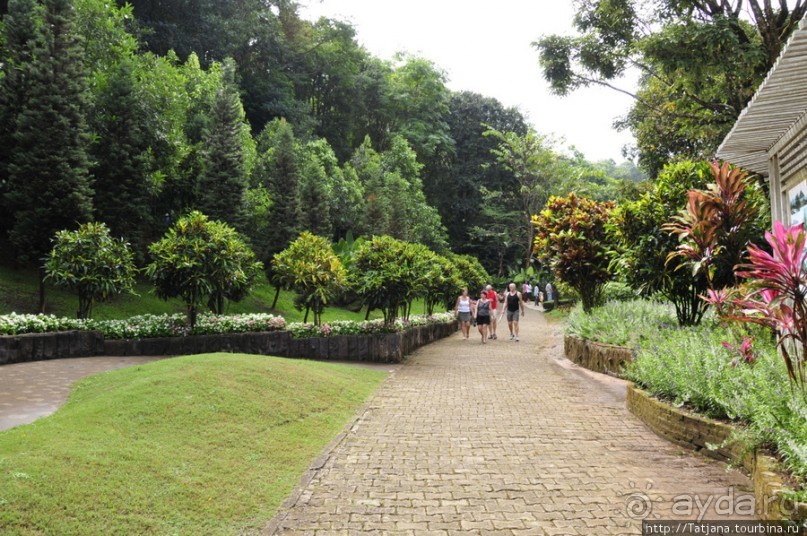 Национальный парк-сад цветов " Mae Fah Luang Garden "
