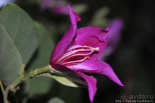 Чемоданы берите в Таиланд полупустые...