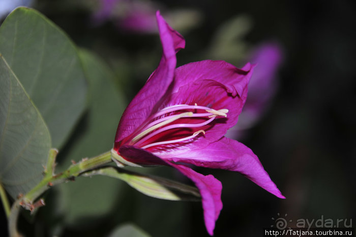 Чемоданы берите в Таиланд полупустые...