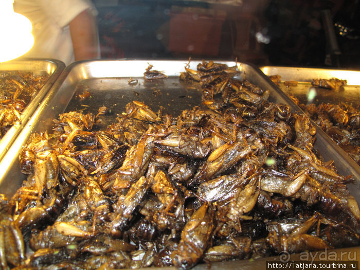 Чемоданы берите в Таиланд полупустые...