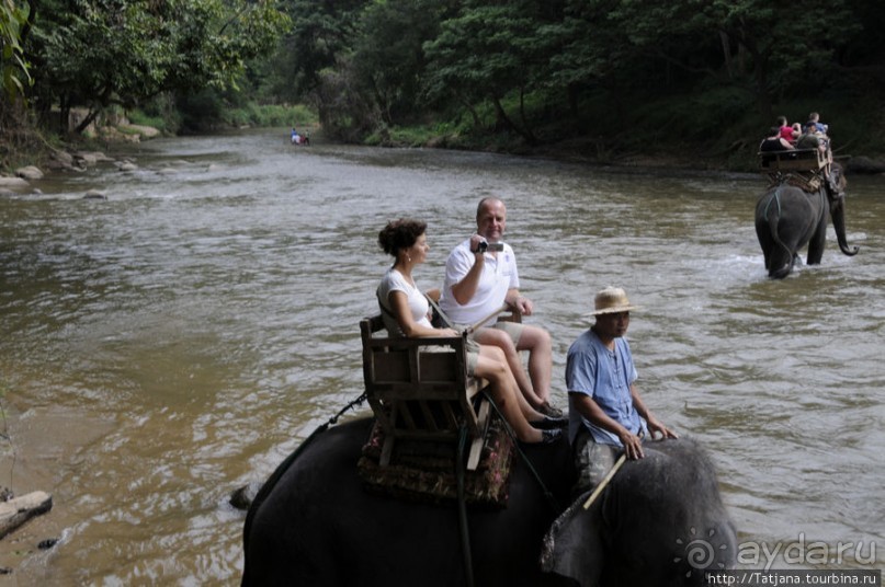 Веселые и добрые слоники.