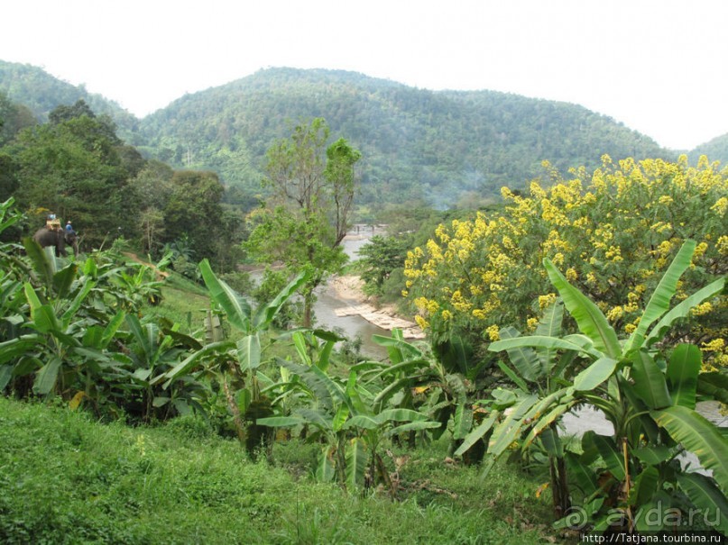 Веселые и добрые слоники.