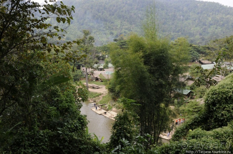 Веселые и добрые слоники.