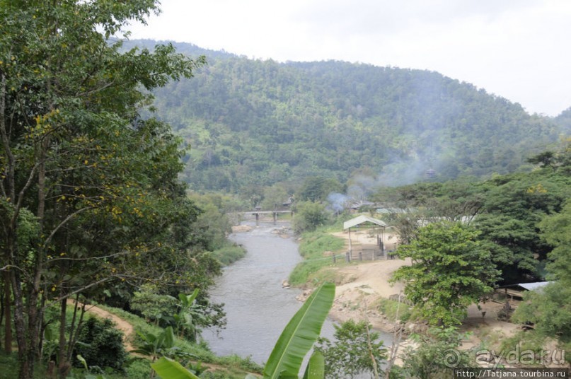Веселые и добрые слоники.