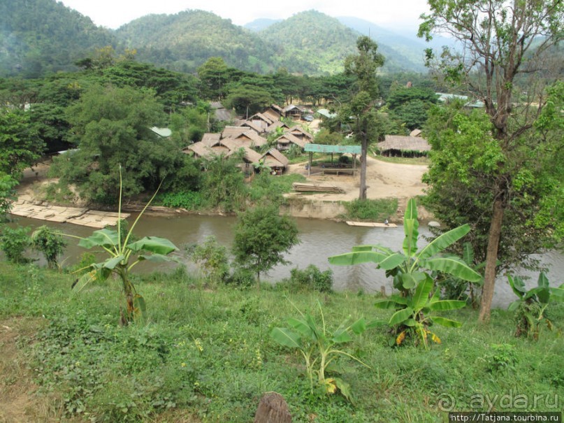 Веселые и добрые слоники.