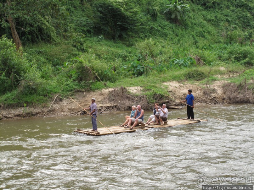 Веселые и добрые слоники.