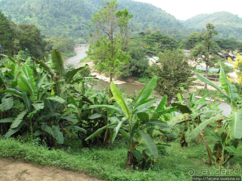 Веселые и добрые слоники.