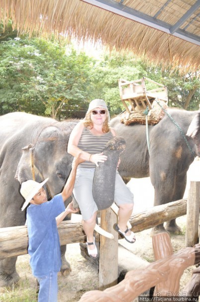 Веселые и добрые слоники.