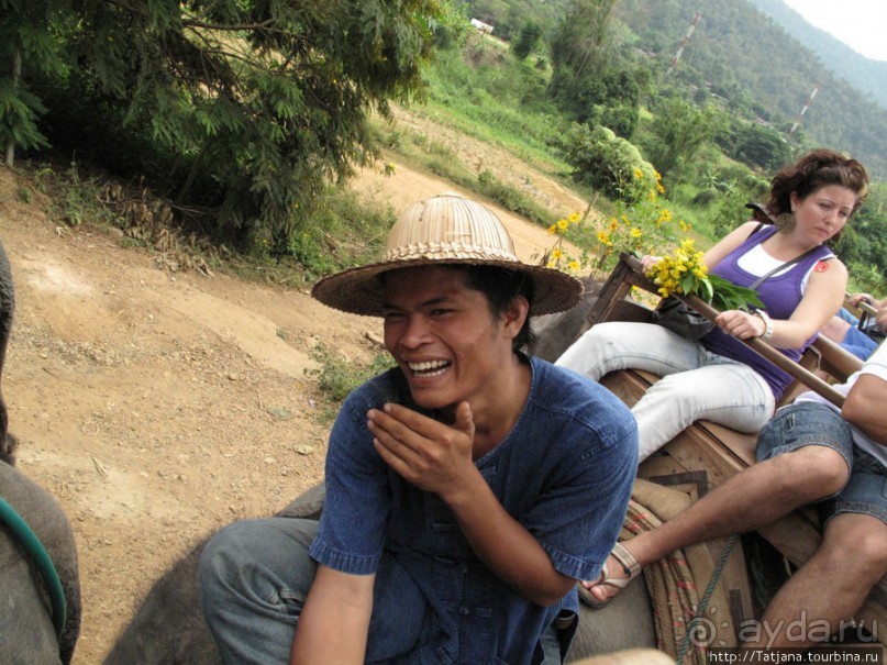 Веселые и добрые слоники.