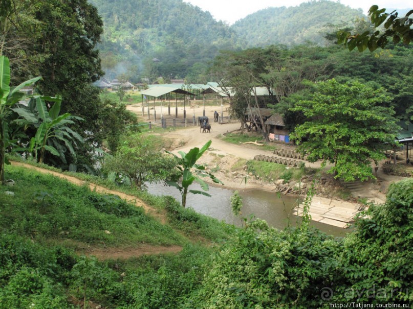 Веселые и добрые слоники.