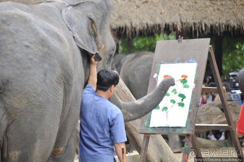 Веселые и добрые слоники.
