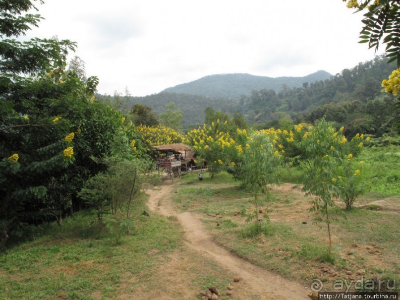 Веселые и добрые слоники.