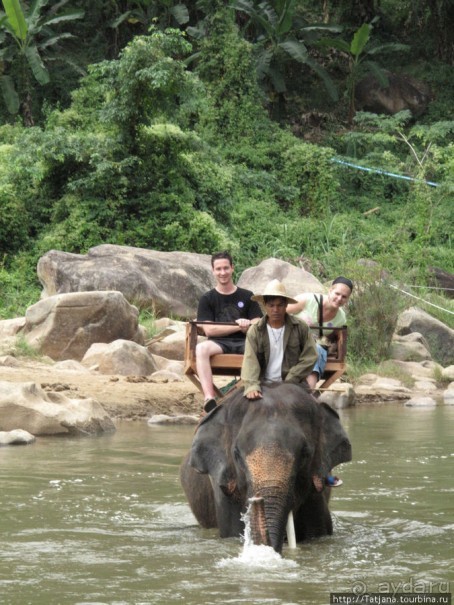 Веселые и добрые слоники.