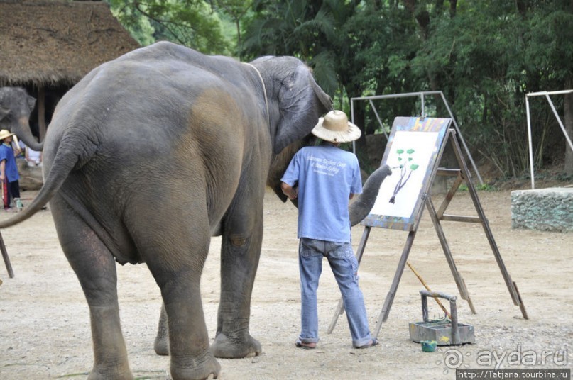 Веселые и добрые слоники.