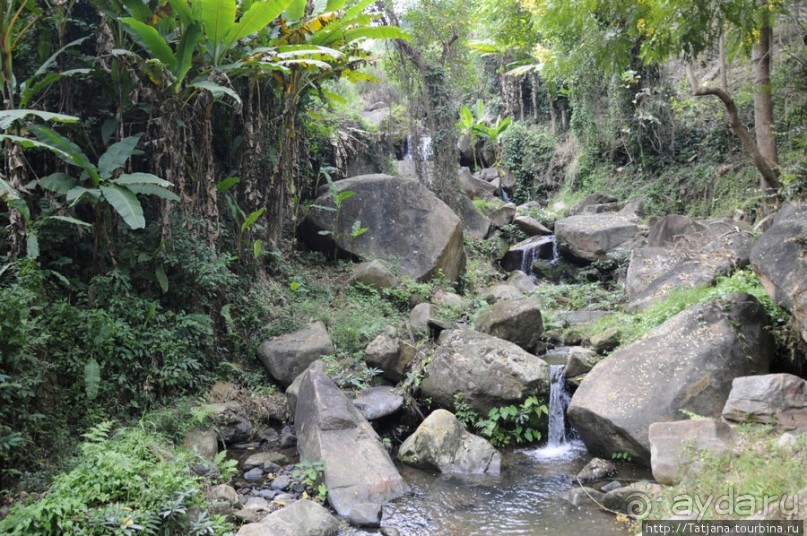 Веселые и добрые слоники.