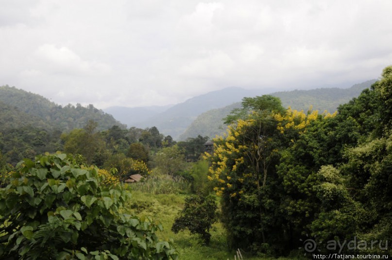 Веселые и добрые слоники.