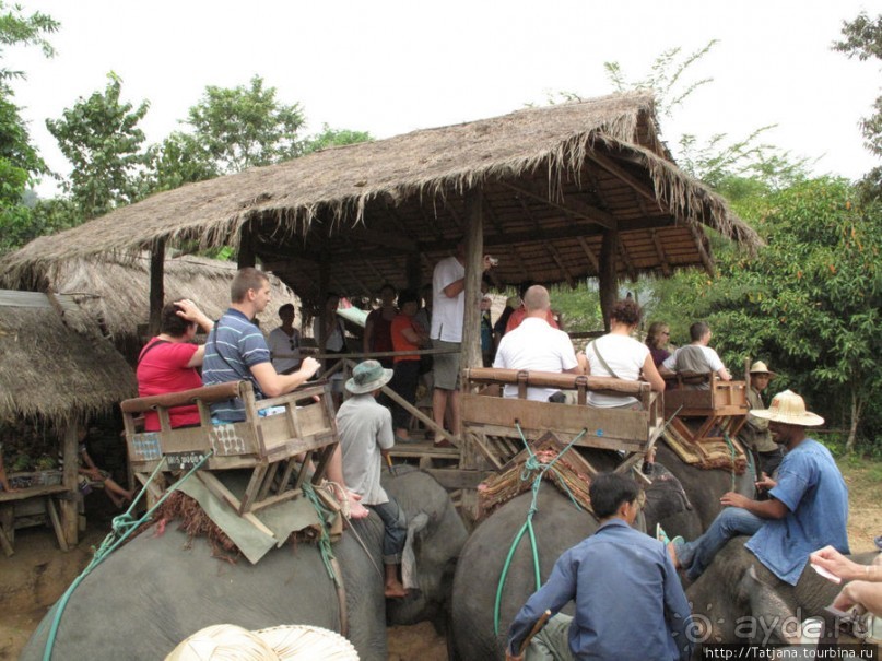 Веселые и добрые слоники.