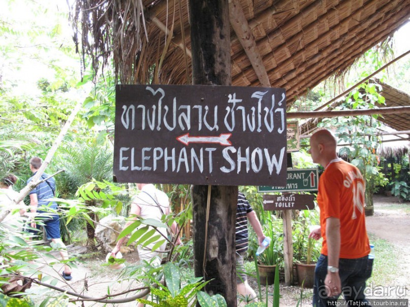 Веселые и добрые слоники.