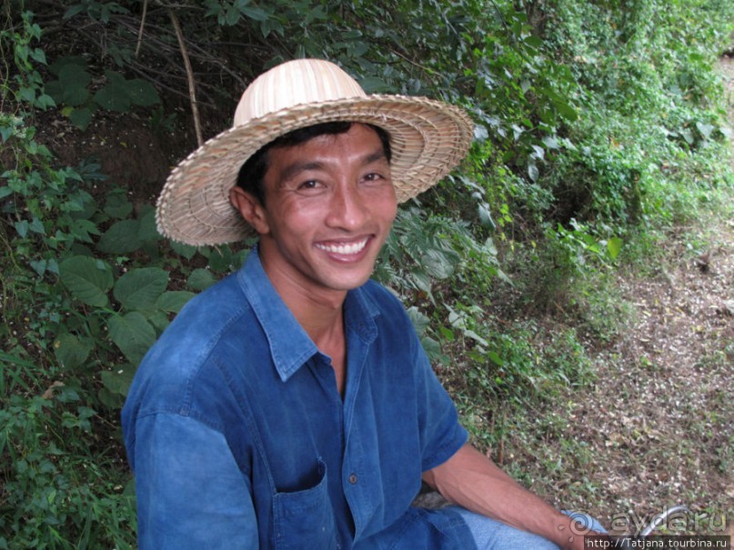 Веселые и добрые слоники.