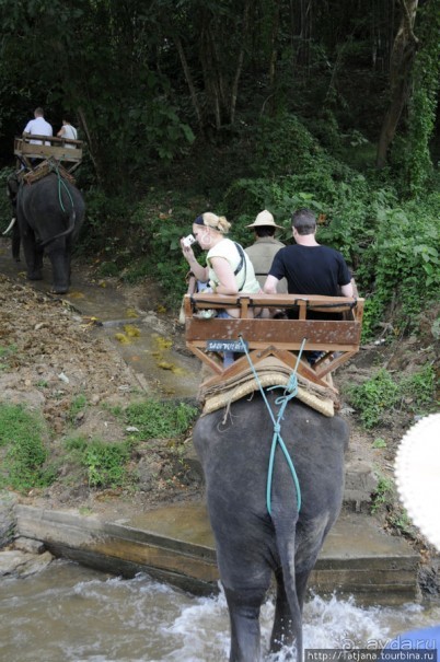 Веселые и добрые слоники.