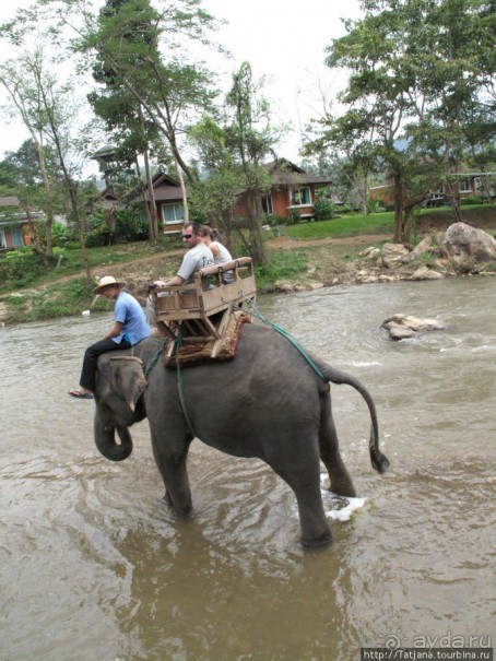 Веселые и добрые слоники.