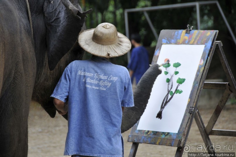 Веселые и добрые слоники.