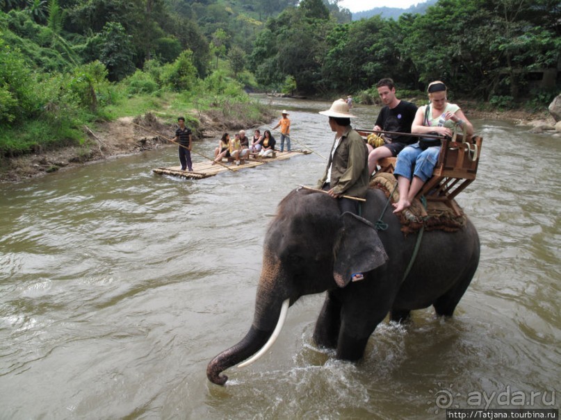 Веселые и добрые слоники.